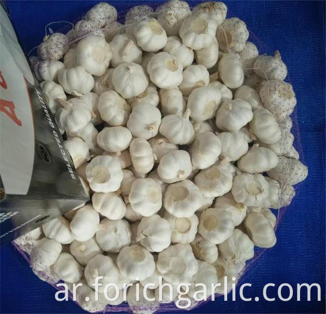Pure White Garlic New Crop 2019